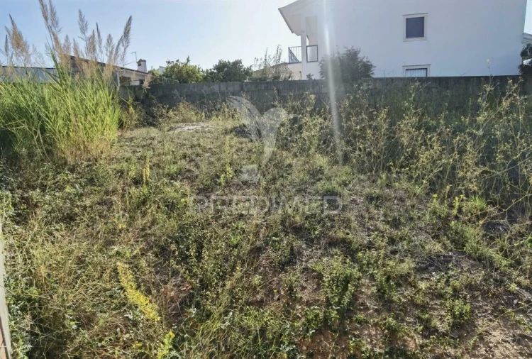 Terreno para Venda em Marvila, Ribeira Santarém, São Salvador, São Nicolau Foto 13