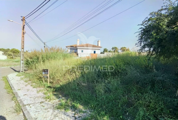 Terreno para Venda em Marvila, Ribeira Santarém, São Salvador, São Nicolau Foto 15