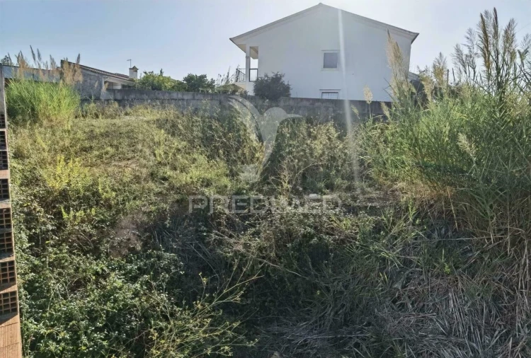 Terreno para Venda em Marvila, Ribeira Santarém, São Salvador, São Nicolau Foto 11