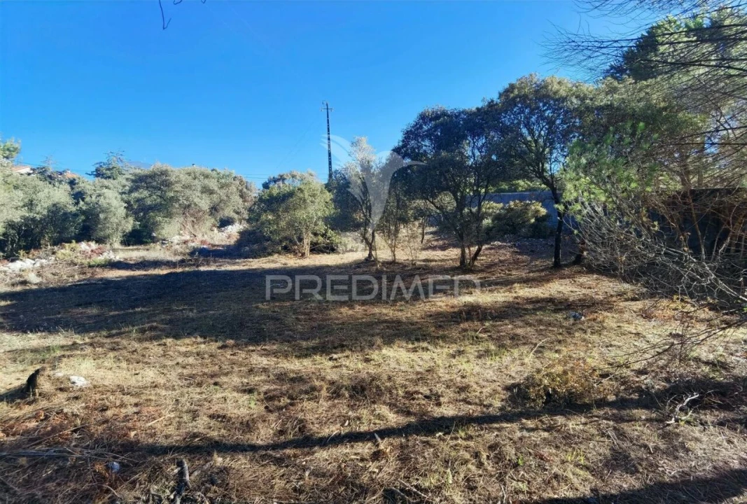 Terreno para Venda em Minde Foto 19