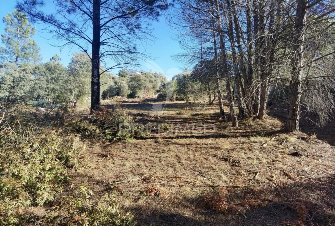 Terreno para Venda em Minde Foto 11