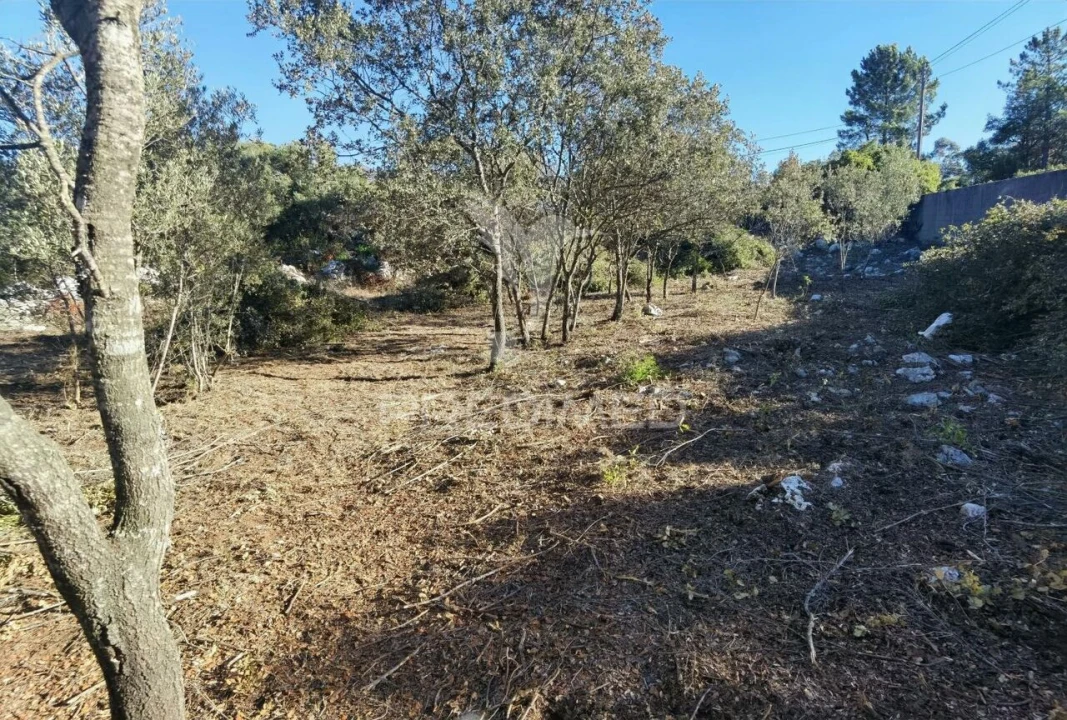 Terreno para Venda em Minde Foto 14