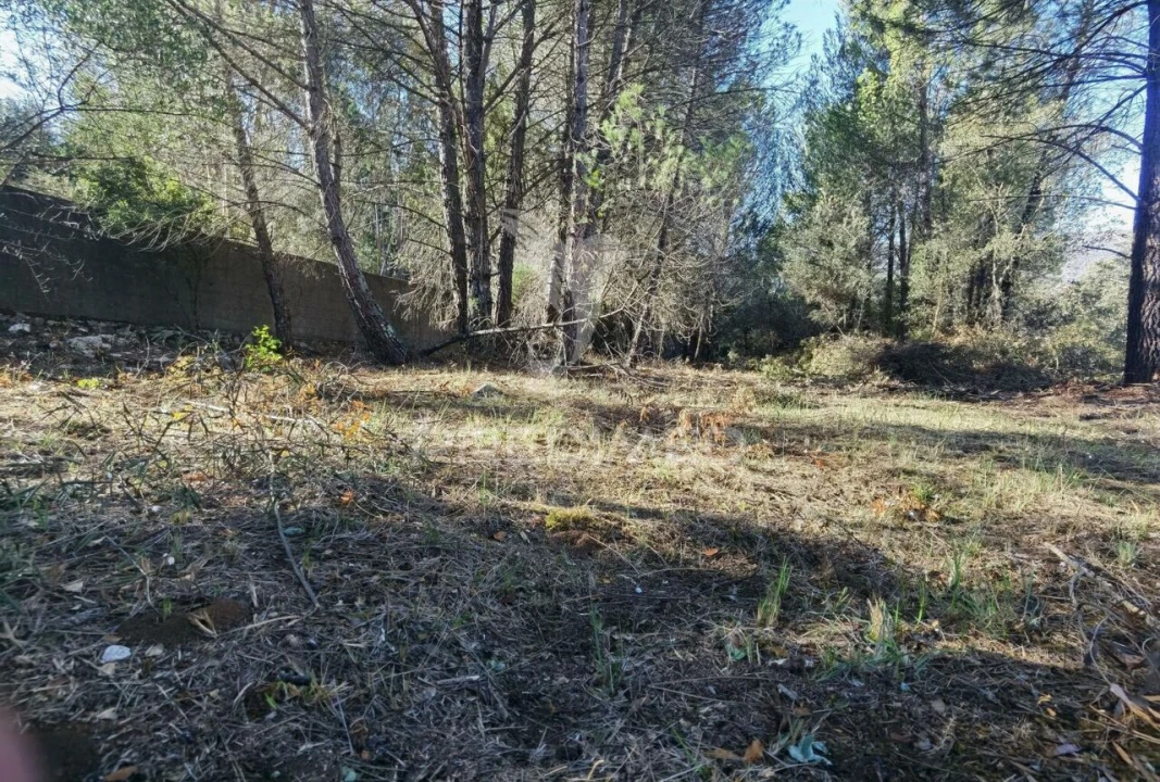 Terreno para Venda em Minde Foto 18