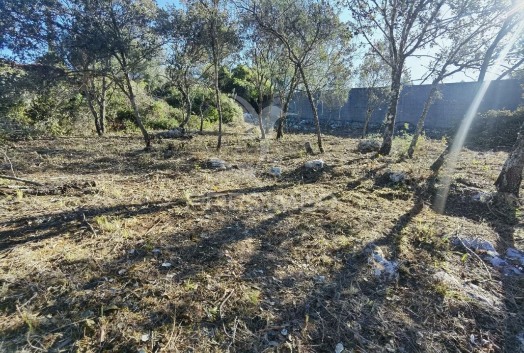 Terreno para Venda em Minde Foto 15