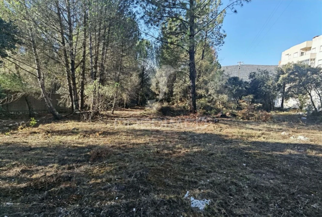 Terreno para Venda em Minde Foto 13