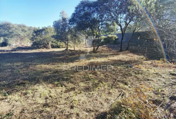 Terreno para Venda em Minde Foto 12