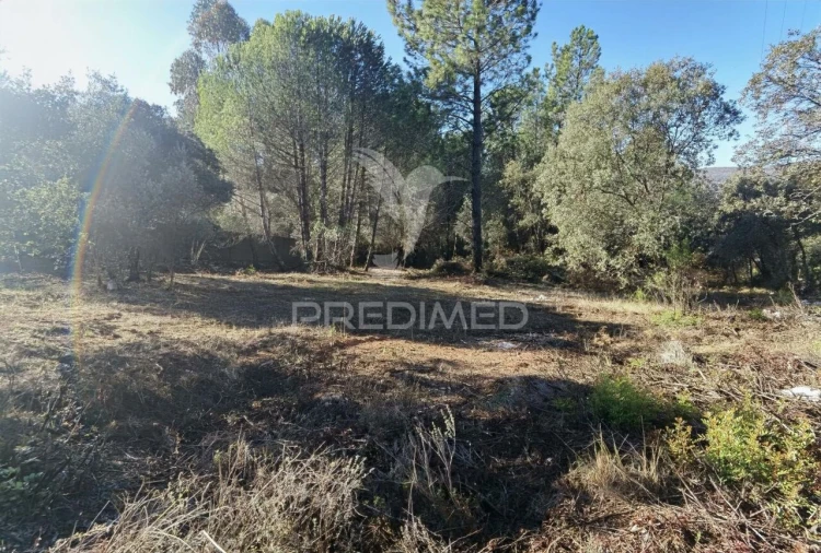 Terreno para Venda em Minde Foto 16