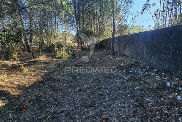 Terreno para Venda em Minde Foto 8