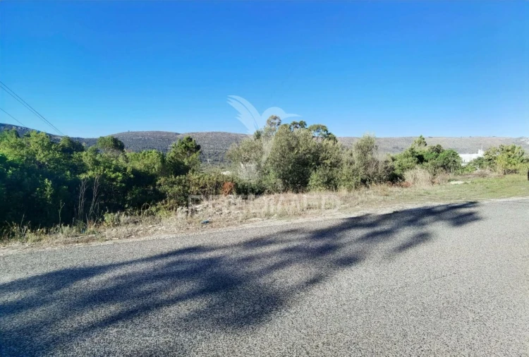 Terreno para Venda em Minde Foto 5