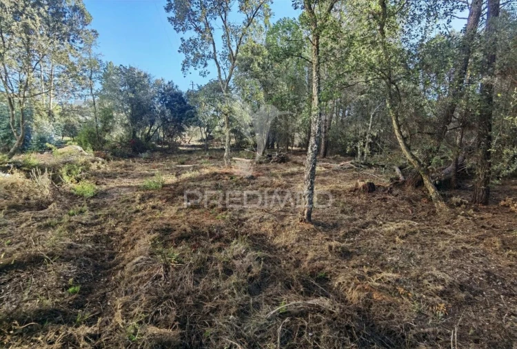 Terreno para Venda em Minde Foto 21