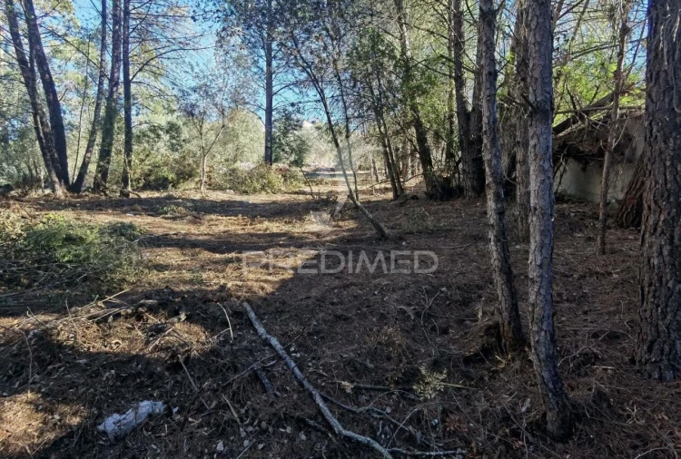 Terreno para Venda em Minde Foto 10