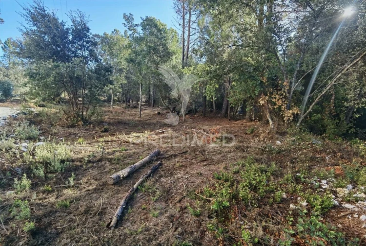 Terreno para Venda em Minde Foto 7