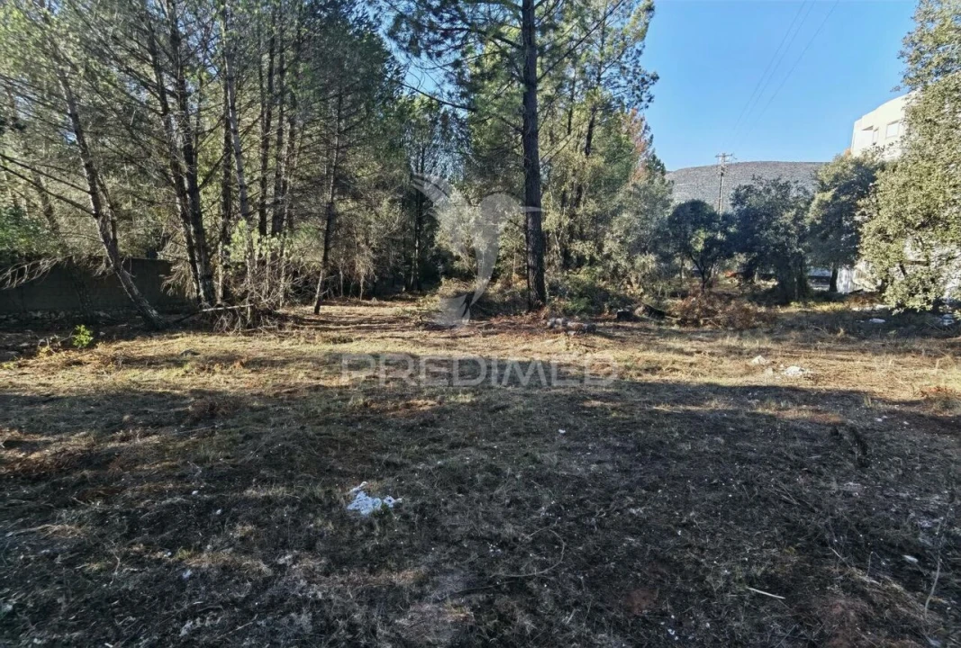 Terreno para Venda em Minde Foto 17