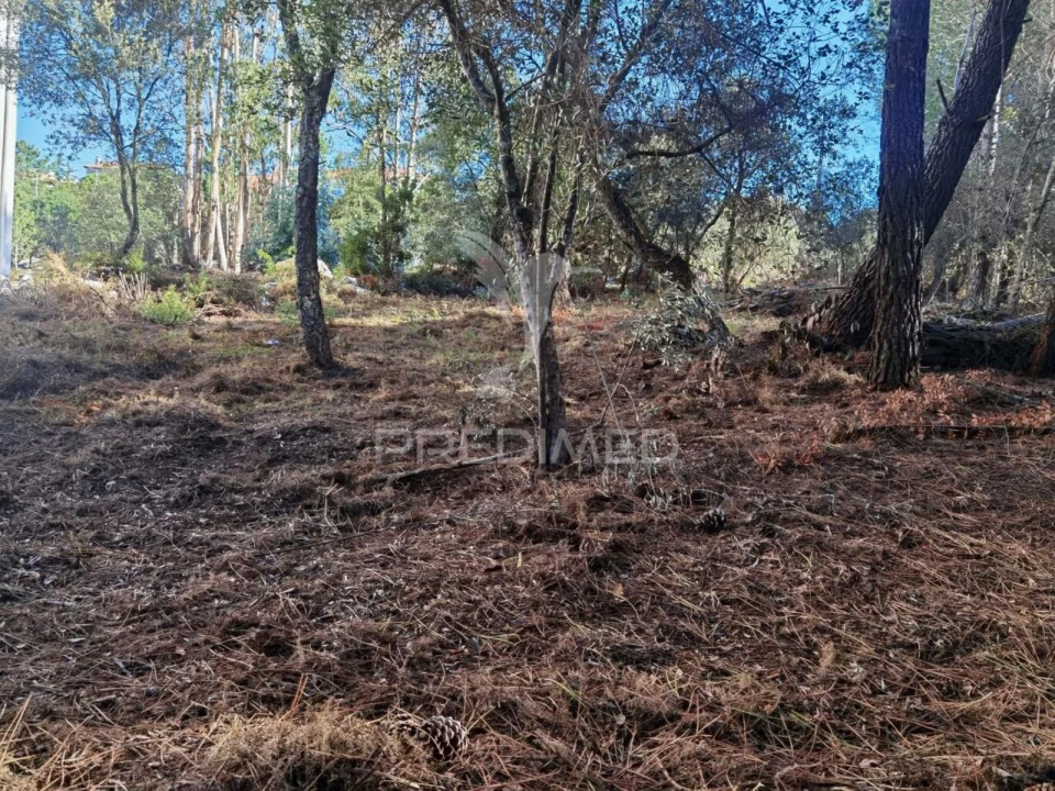 Terreno para Venda em Minde Foto 22