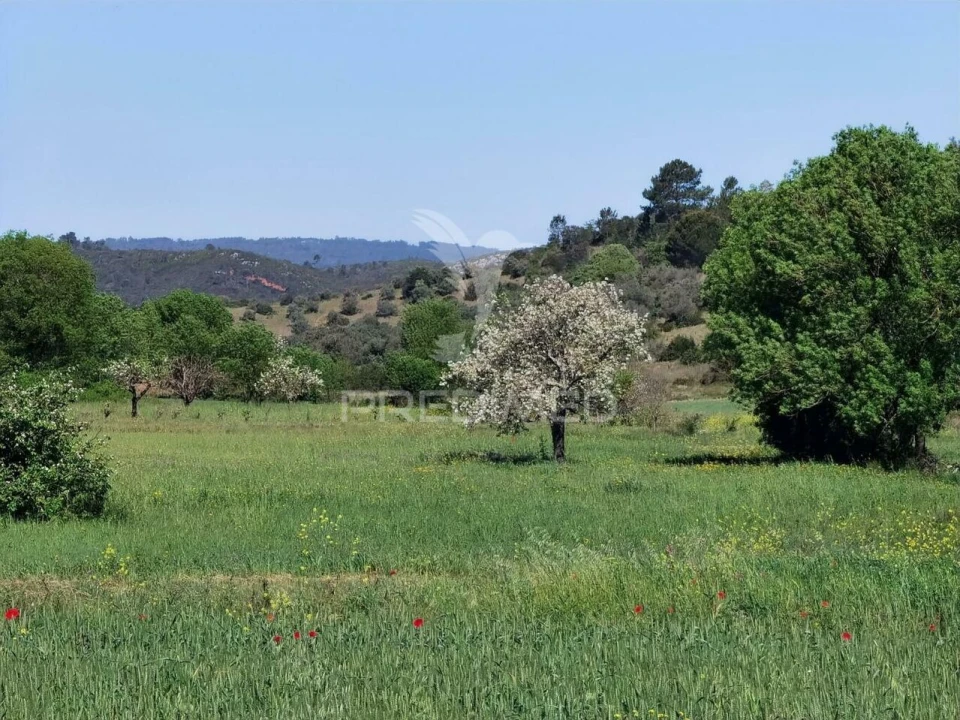 Terreno para Venda em Arneiro das Milhariças Foto 1