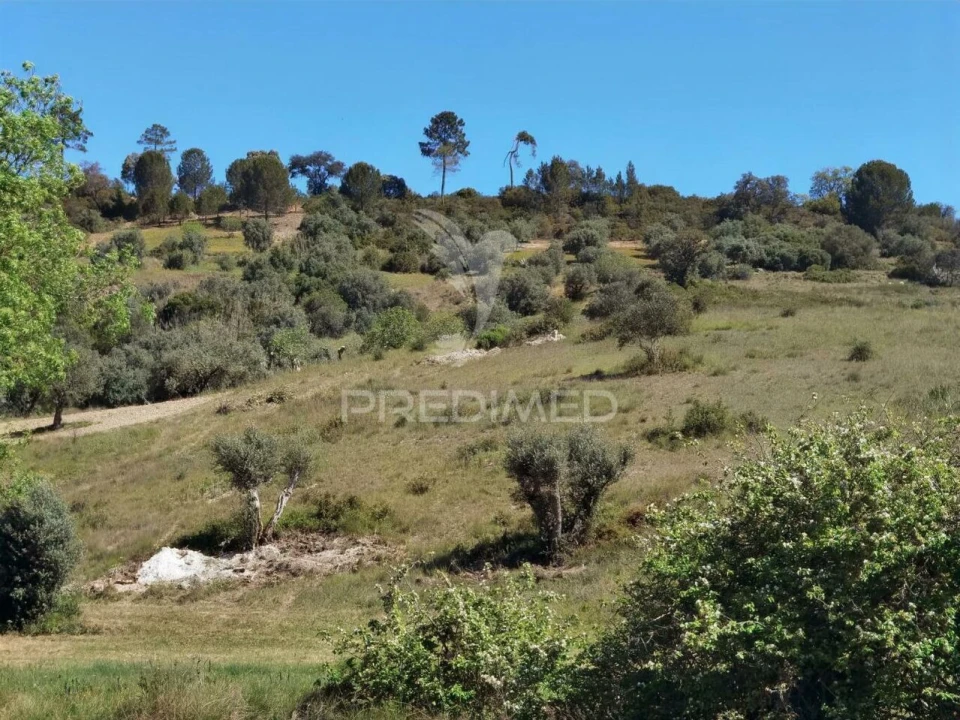 Terreno para Venda em Arneiro das Milhariças Foto 17