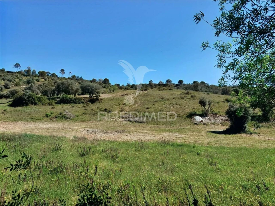 Terreno para Venda em Arneiro das Milhariças Foto 6