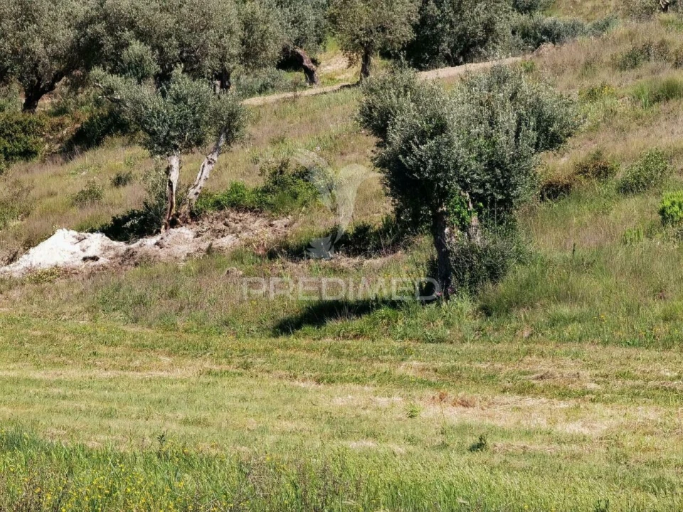 Terreno para Venda em Arneiro das Milhariças Foto 18