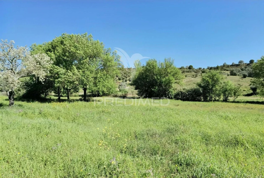 Terreno para Venda em Arneiro das Milhariças Foto 16