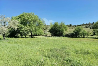 Terreno para Venda em Arneiro das Milhariças