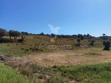 Terreno para Venda em Arneiro das Milhariças