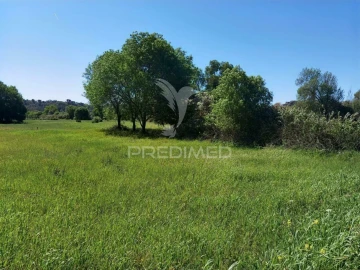 Terreno para Venda em Arneiro das Milhariças