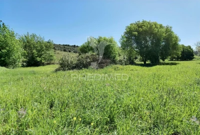 Terreno para Venda em Arneiro das Milhariças