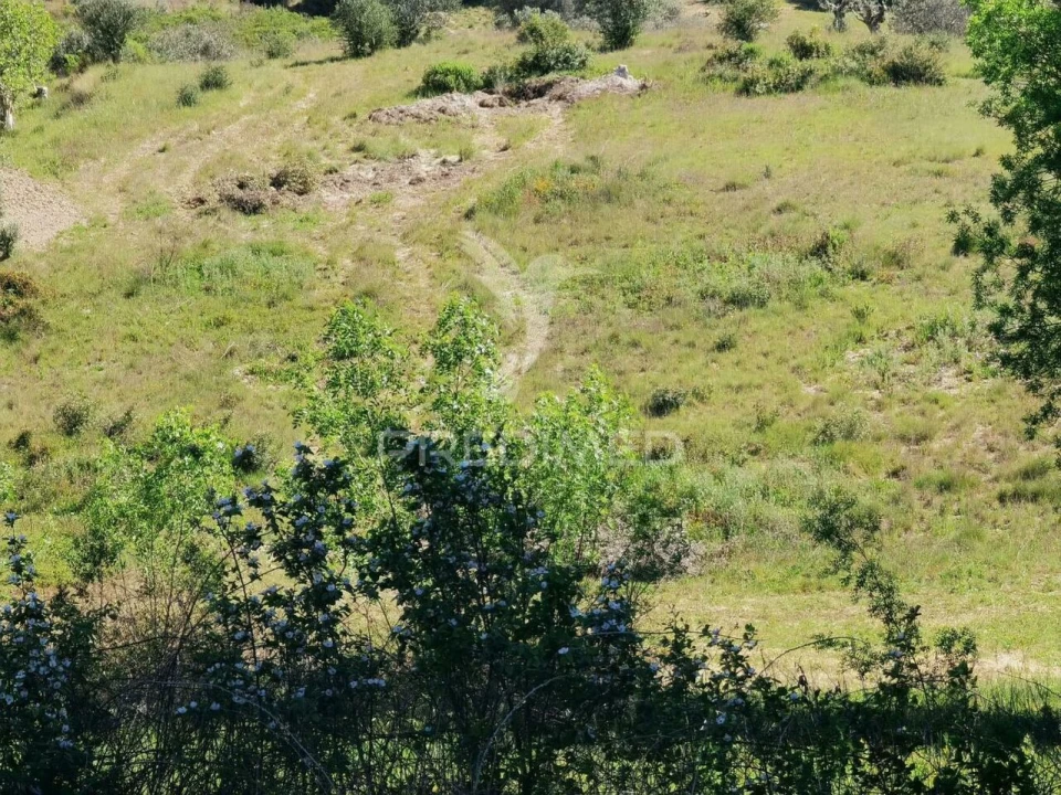Terreno para Venda em Arneiro das Milhariças Foto 15