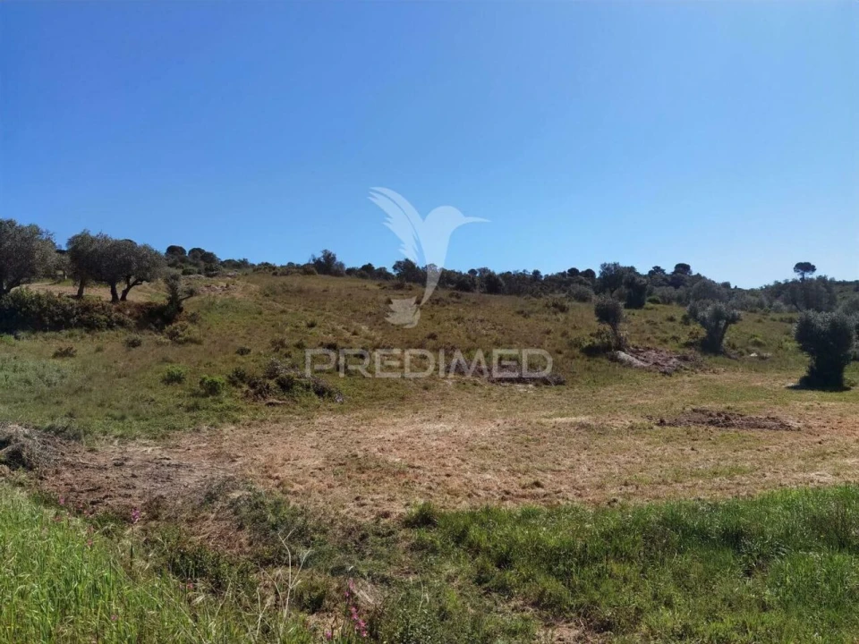 Terreno para Venda em Arneiro das Milhariças Foto 12