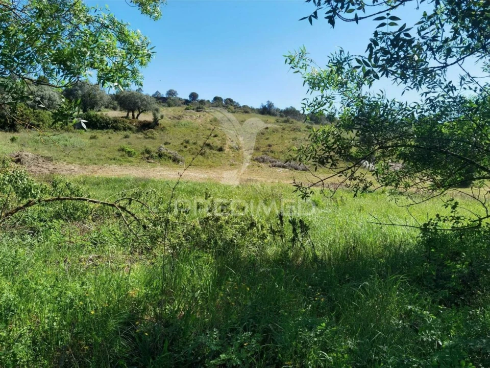 Terreno para Venda em Arneiro das Milhariças Foto 8