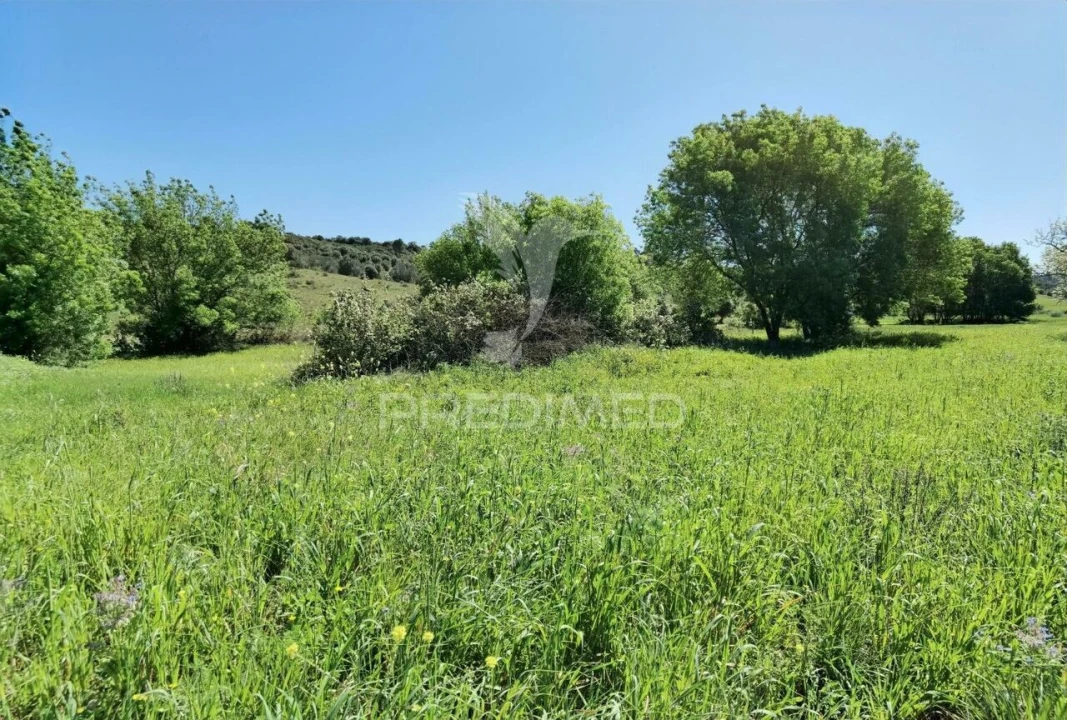 Terreno para Venda em Arneiro das Milhariças Foto 13