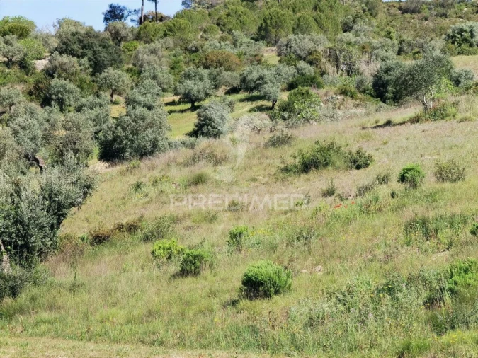 Terreno para Venda em Arneiro das Milhariças Foto 19