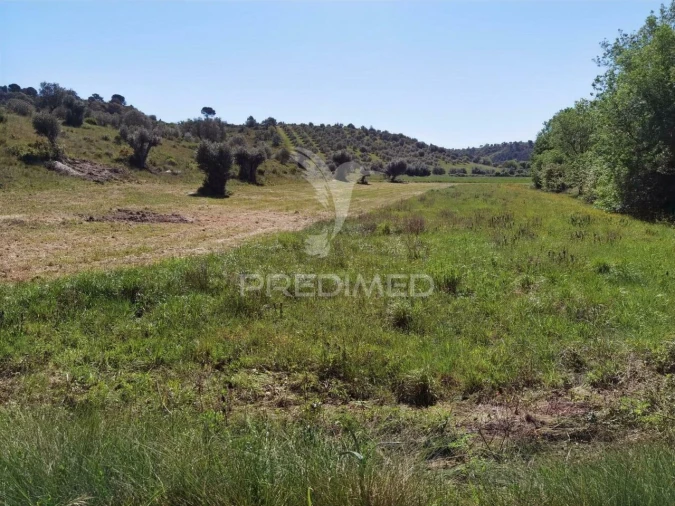 Terreno para Venda em Arneiro das Milhariças Foto 11