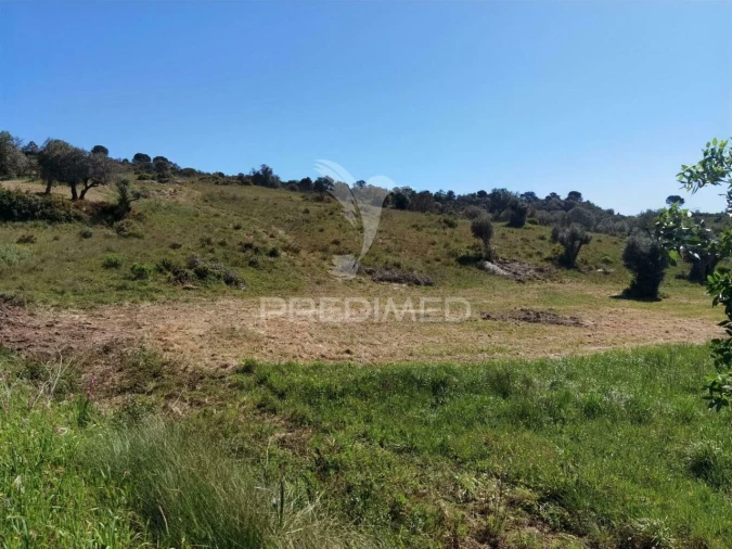 Terreno para Venda em Arneiro das Milhariças Foto 10