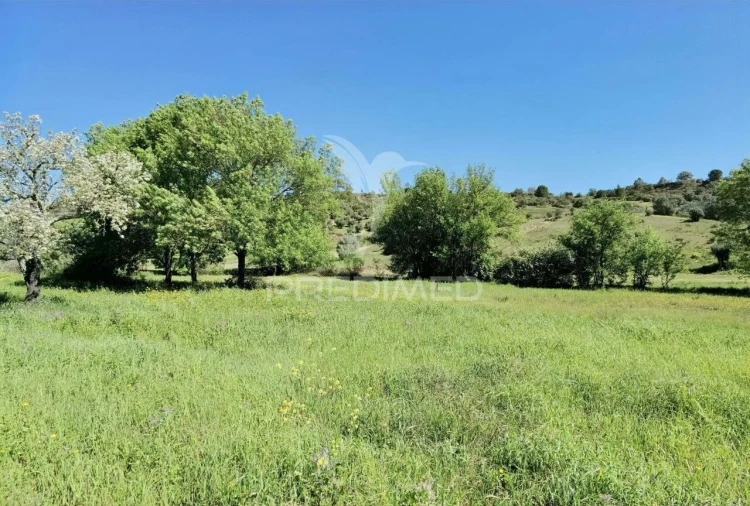 Terreno para Venda em Arneiro das Milhariças Foto 16