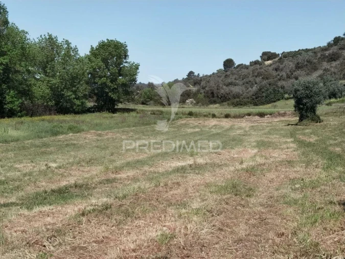 Terreno para Venda em Arneiro das Milhariças Foto 20