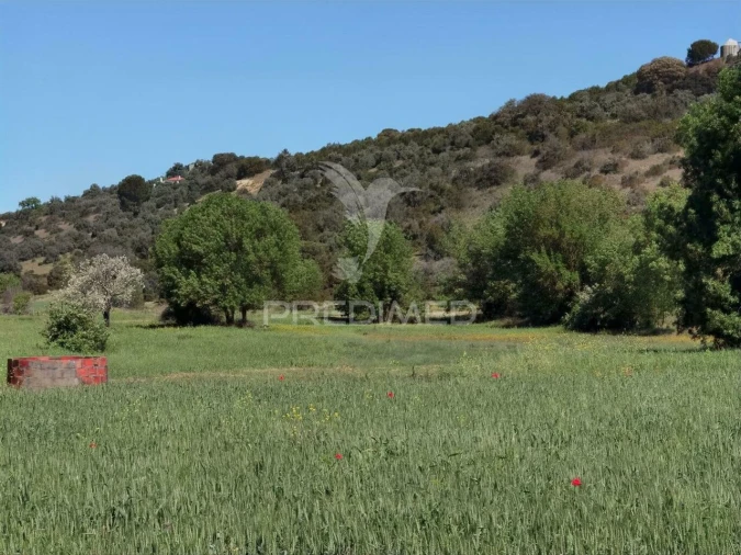 Terreno para Venda em Arneiro das Milhariças Foto 2