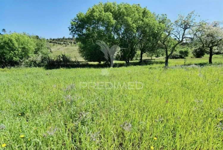 Terreno para Venda em Arneiro das Milhariças Foto 14