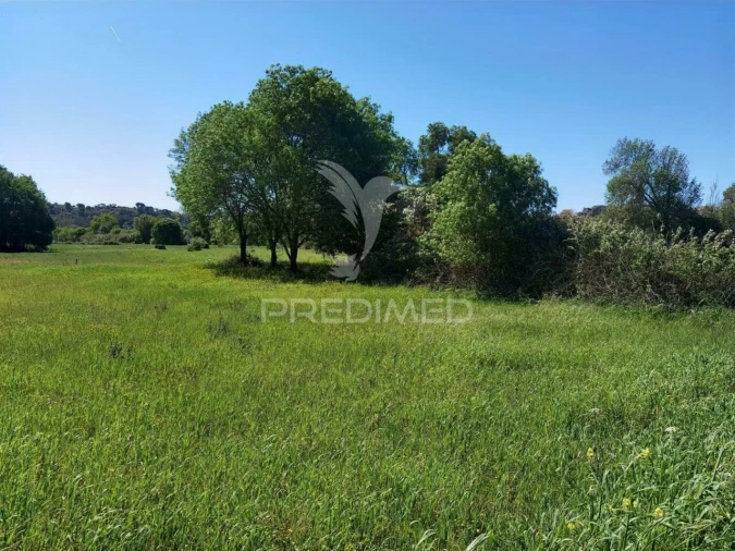 Terreno para Venda em Arneiro das Milhariças Foto 9
