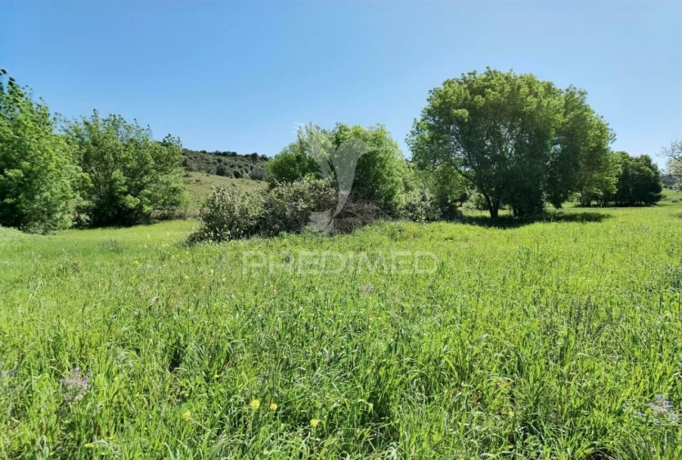 Terreno para Venda em Arneiro das Milhariças Foto 13