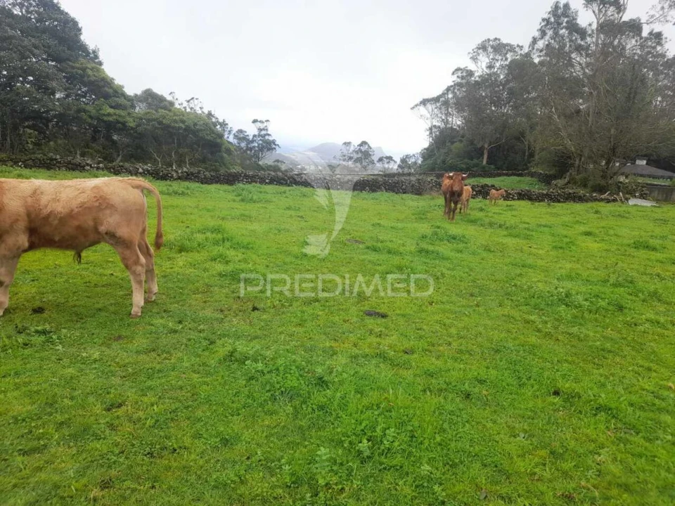 Terreno para Venda em Terra Chã Foto 6