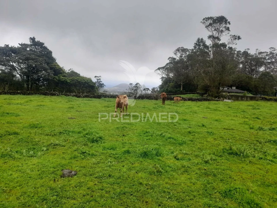Terreno para Venda em Terra Chã Foto 5