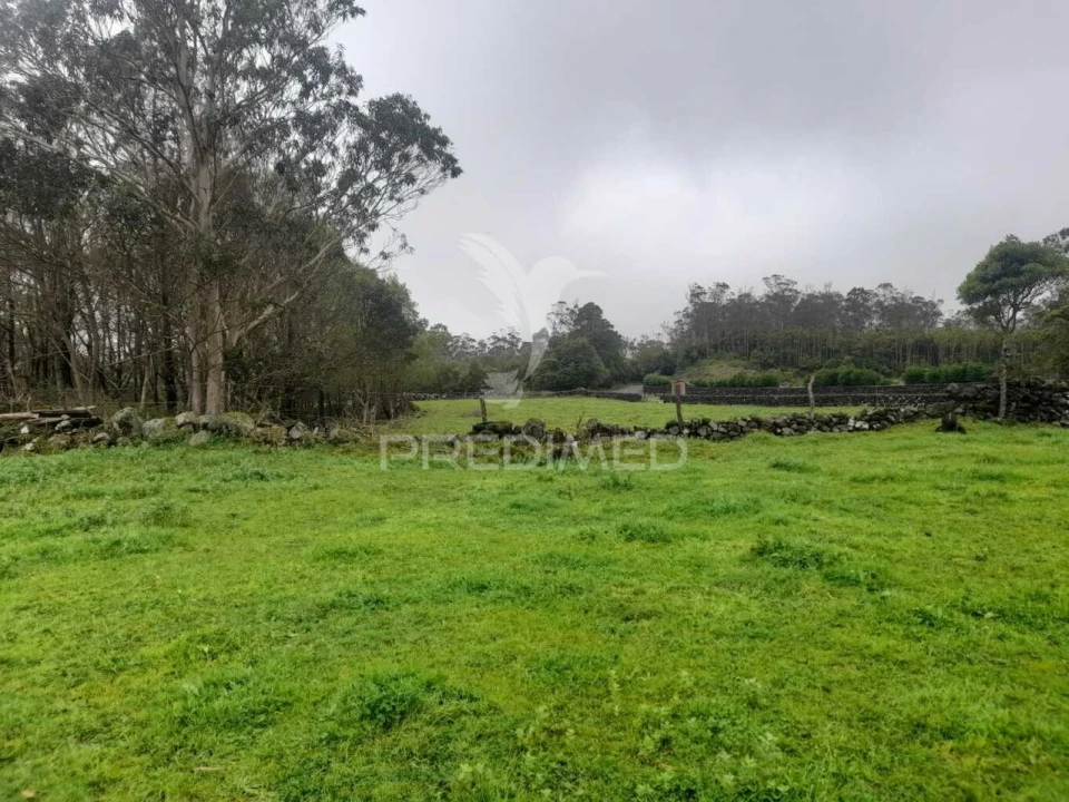 Terreno para Venda em Terra Chã Foto 10