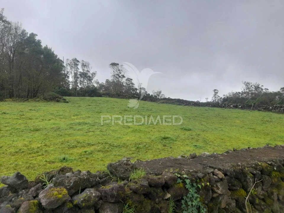 Terreno para Venda em Terra Chã Foto 15