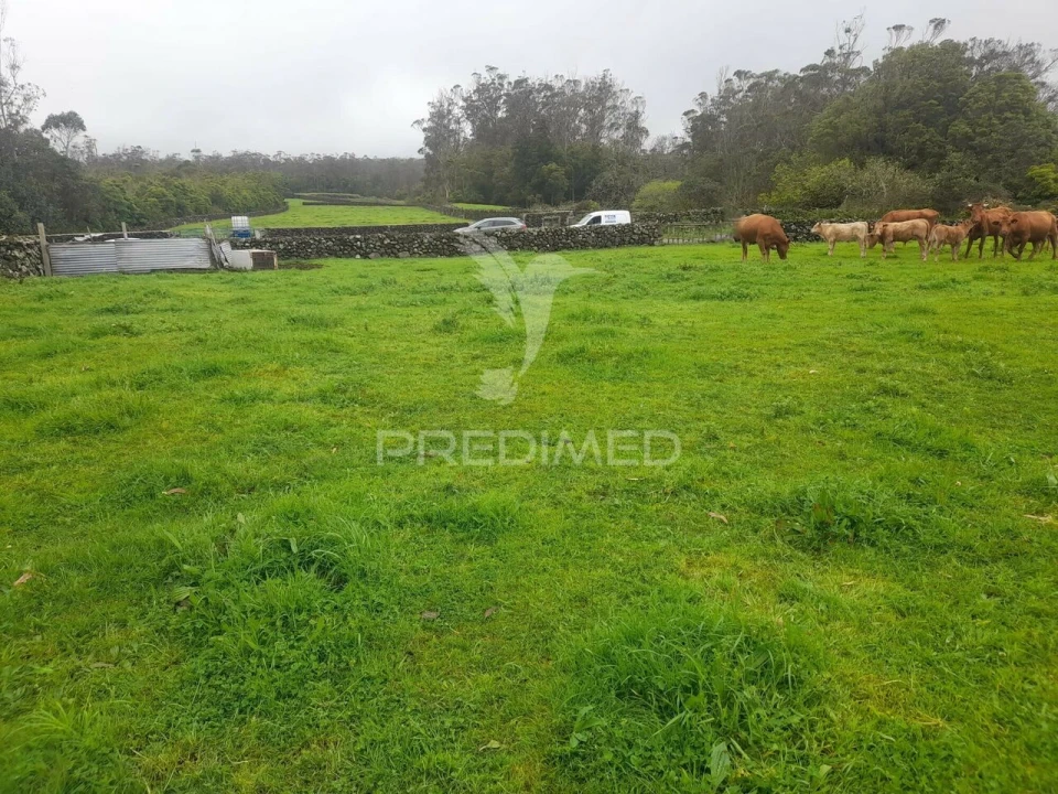 Terreno para Venda em Terra Chã Foto 3