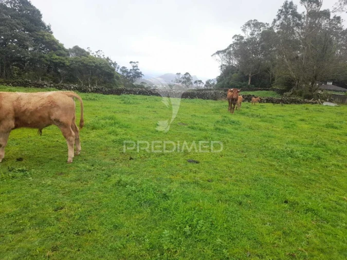 Terreno para Venda em Terra Chã Foto 6