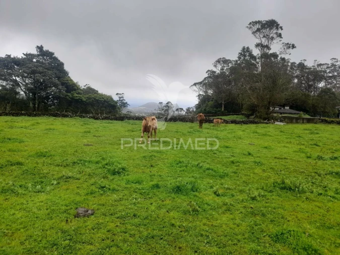 Terreno para Venda em Terra Chã Foto 5