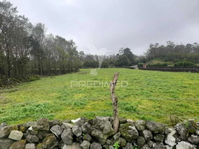 Terreno para Venda em Terra Chã Foto 12