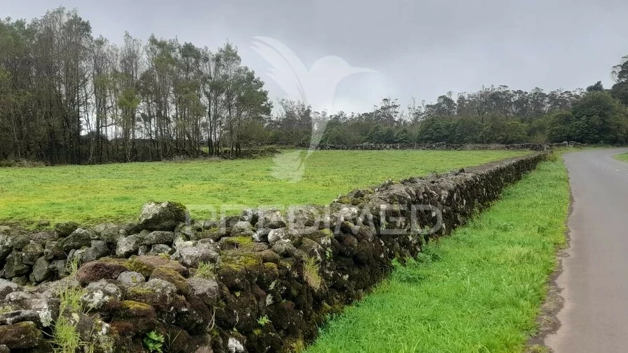 Terreno para Venda em Terra Chã