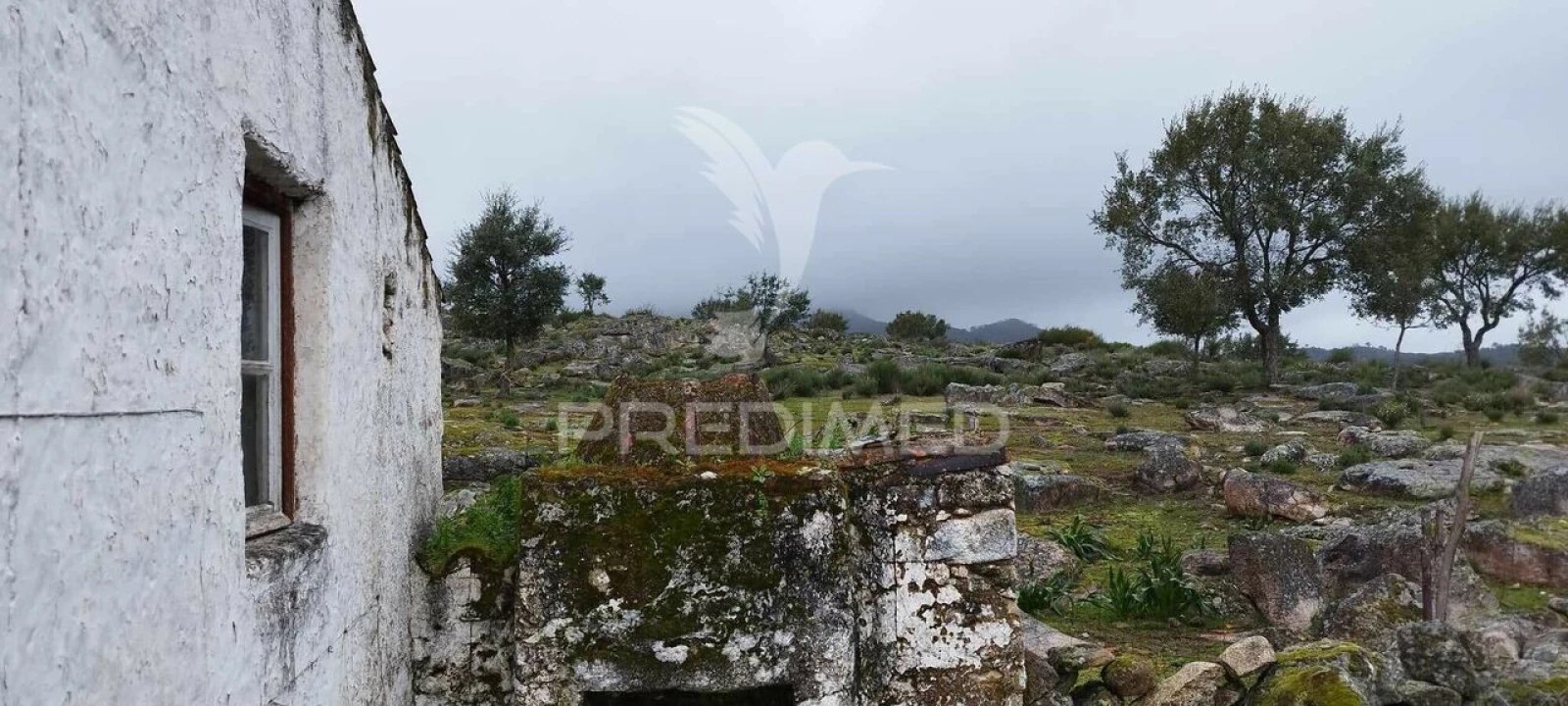Quinta T0 para Venda em Santa Maria de Marvão Foto 1